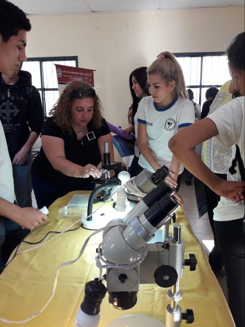 Más de 600 alumnos visitaron la Expo Ciencia