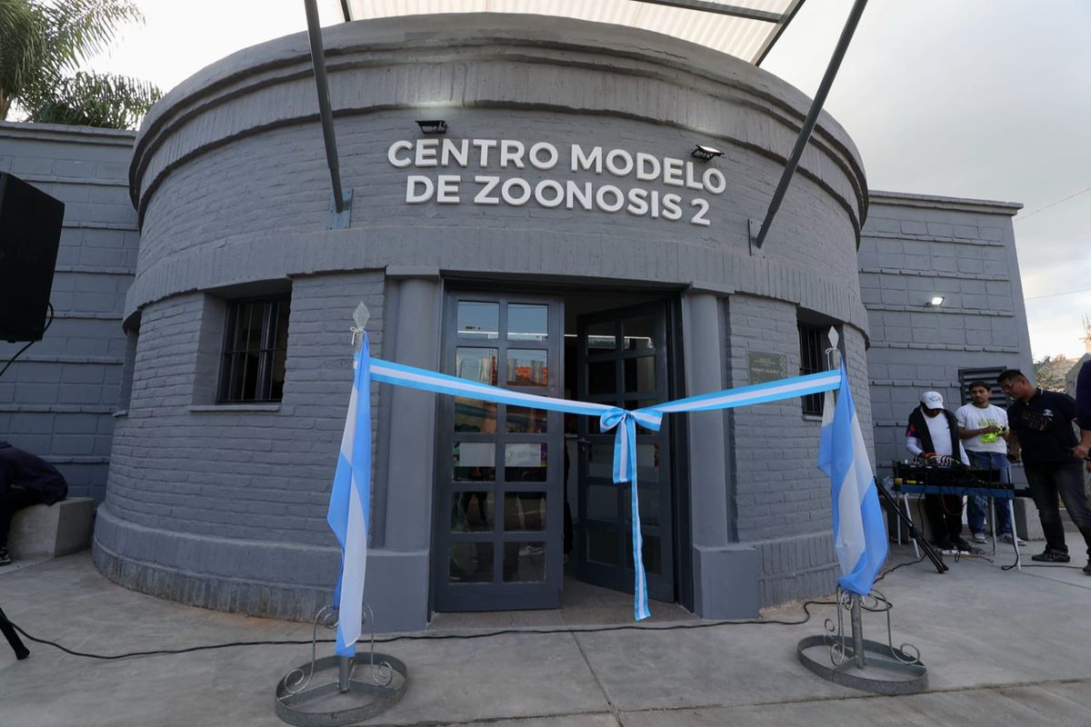 Derechos y salud animal en Alto Comedero Derechos y salud animal en Alto Comedero