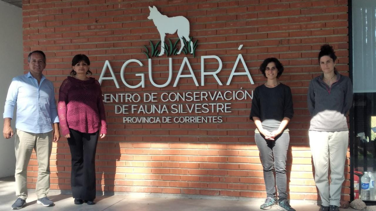 Jujuy avanza en un convenio de colaboración para la recuperación fauna nativa