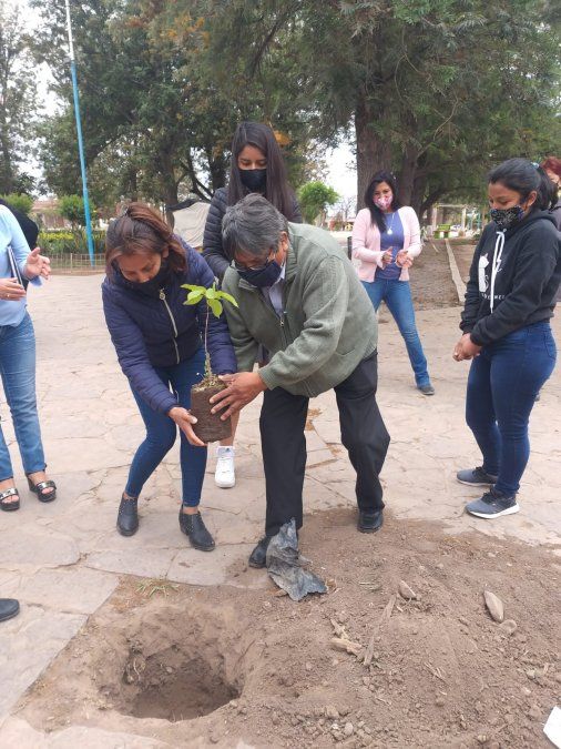 Escuelas de Pampa Blanca, Puesto Viejo y Aguas Calientes inician proceso de forestación