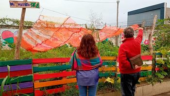 Relevamientos en instituciones educativas para impulsar huertas escolares en 2026