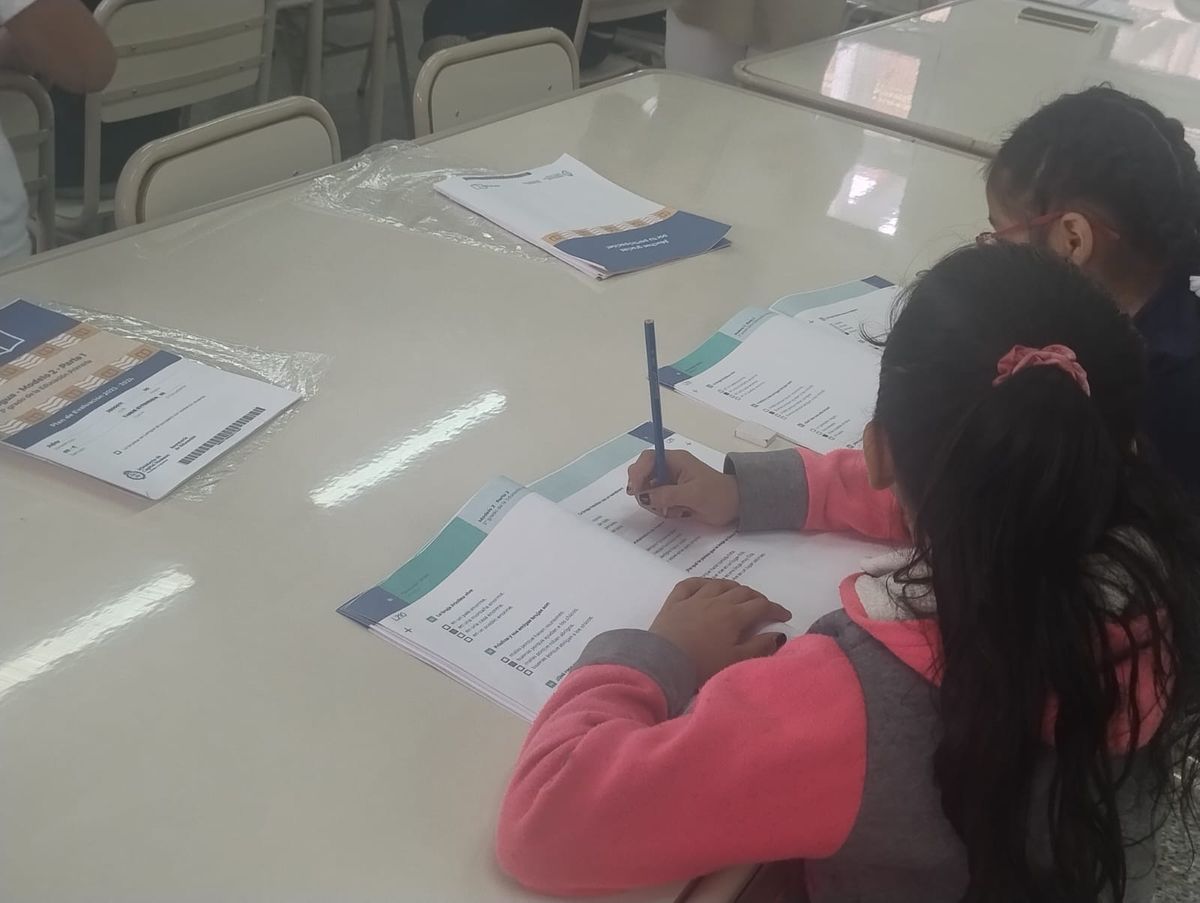 Siete de cada diez estudiantes jujeños de tercer grado comprenden textos complejos Siete de cada diez estudiantes jujeños de tercer grado comprenden textos complejos