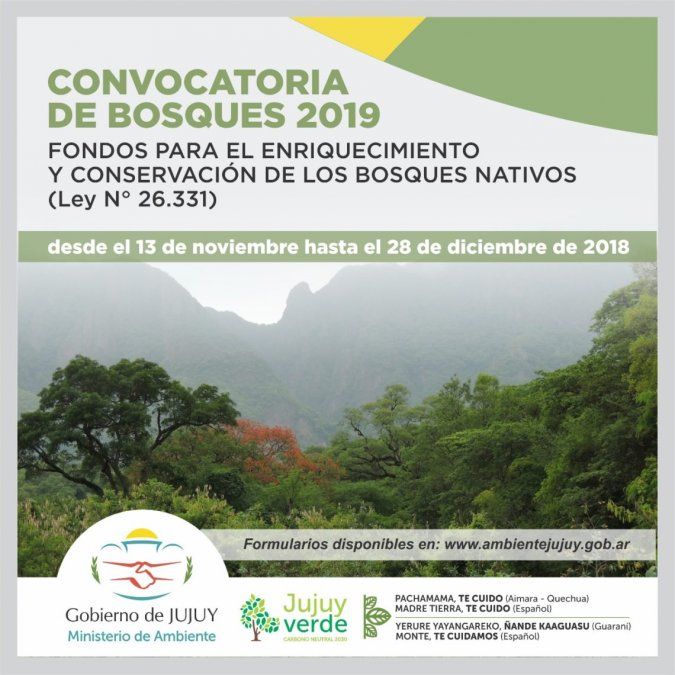 Abren convocatoria 2019 para la conservación de bosques nativos