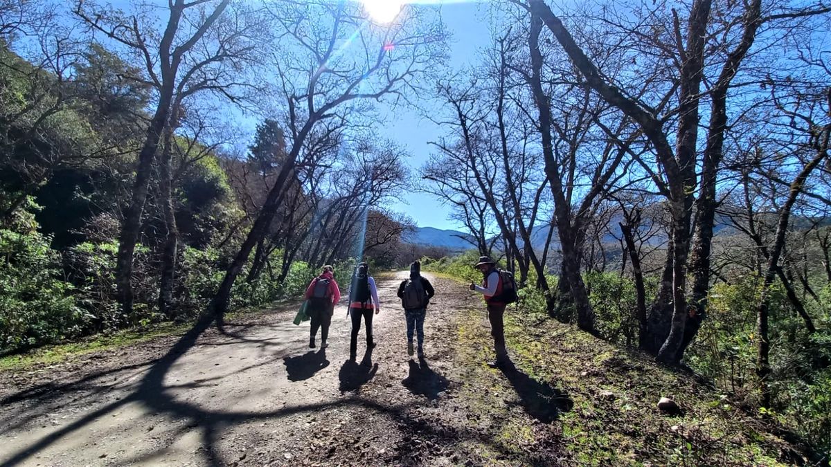 Limpieza en Parque Provincial Potrero de Yala