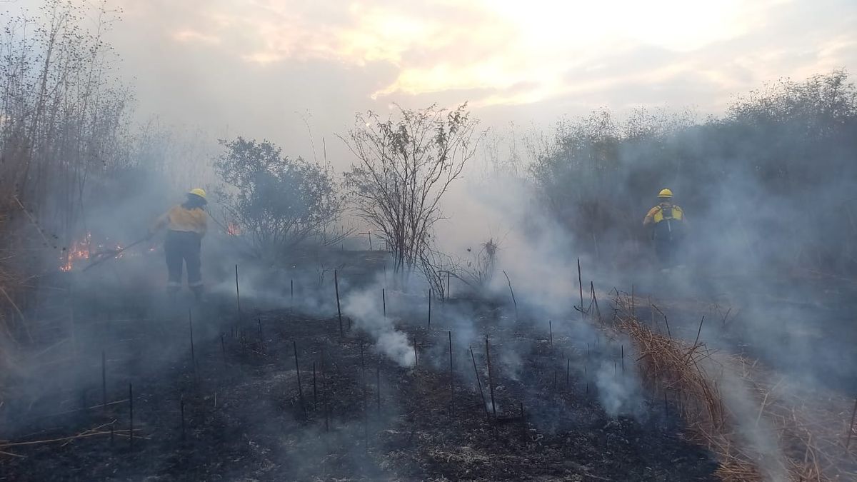 Varios focos fueron sofocados gracias al rpido accionar de las fuerzas especializadas