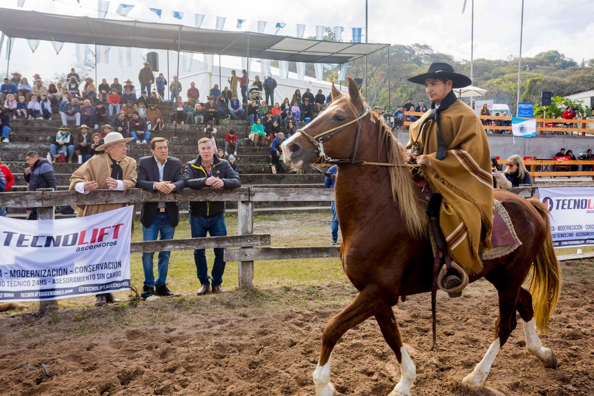 Sadir destacó la 16° Exposición de Caballos Peruanos de Paso en Jujuy