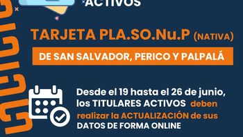 Tarjeta PLASONUP (Nativa): Actualización de datos para titulares activos