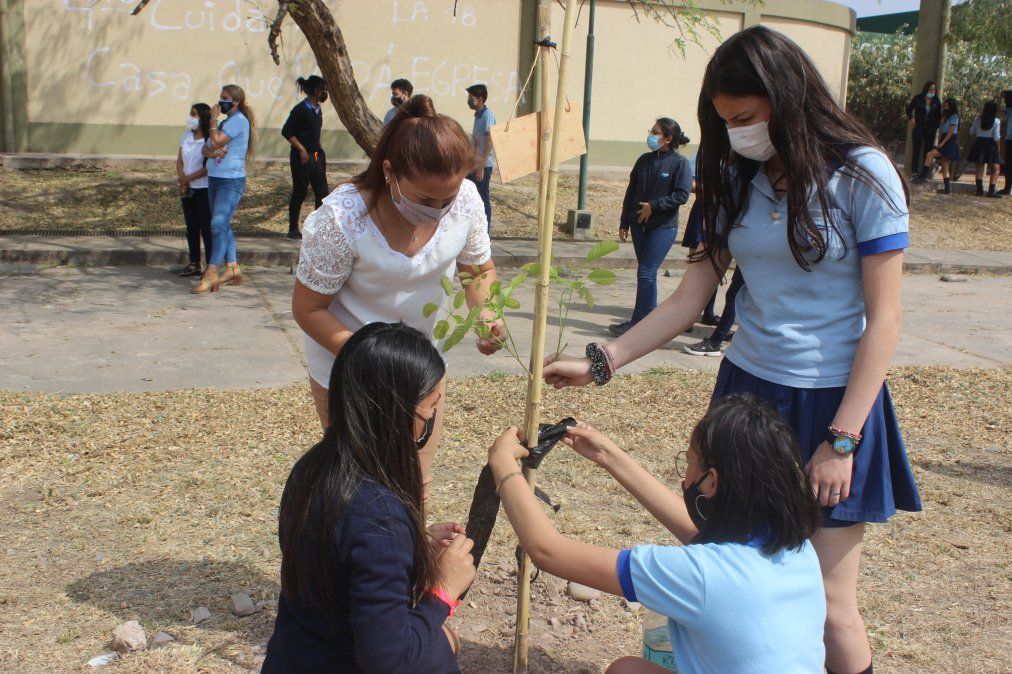 Escuelas de San Pedro plantarán 714 ejemplares de árboles nativos