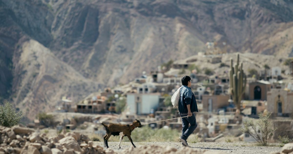 Tamales, la película elegida para abrir el Festival Internacional de Cine de las Alturas Tamales, la película elegida para abrir el Festival Internacional de Cine de las Alturas