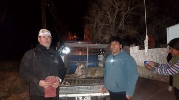 Ambiente rescató un ejemplar de puma en Juella