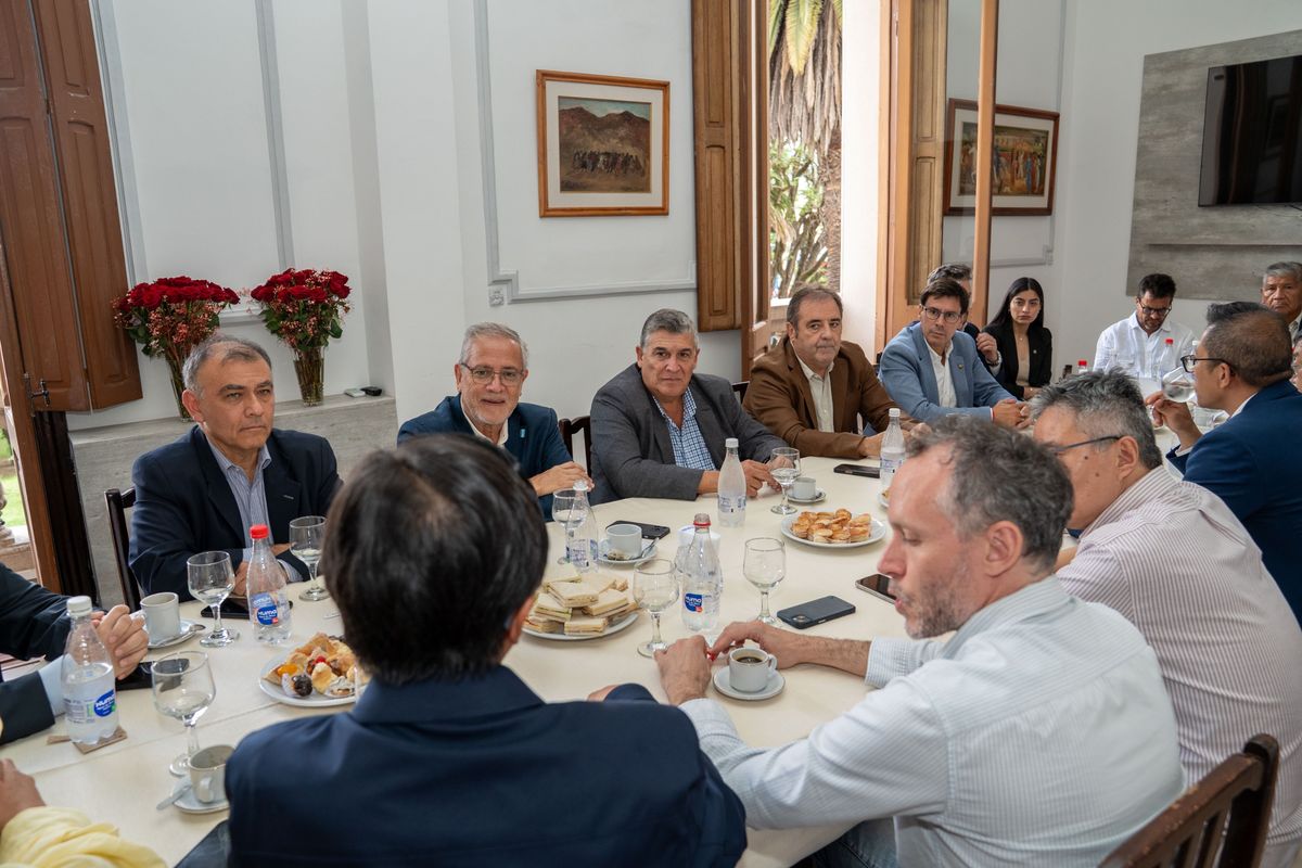 Jujuy profundiza su vínculo con China con foco en minería, energía y turismo