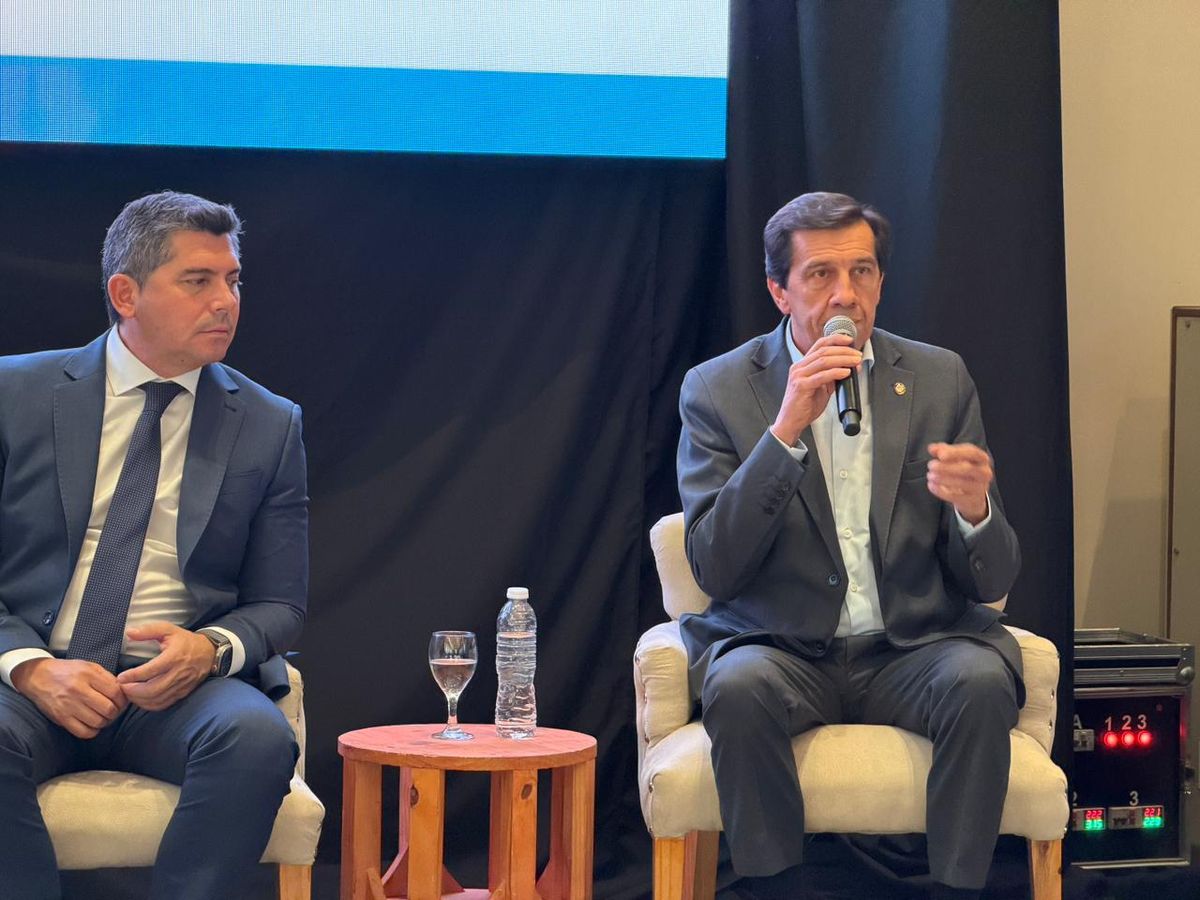 Sadir destacó el potencial minero y energético de Jujuy ante inversores en la Cumbre de Minerales Críticos 2025