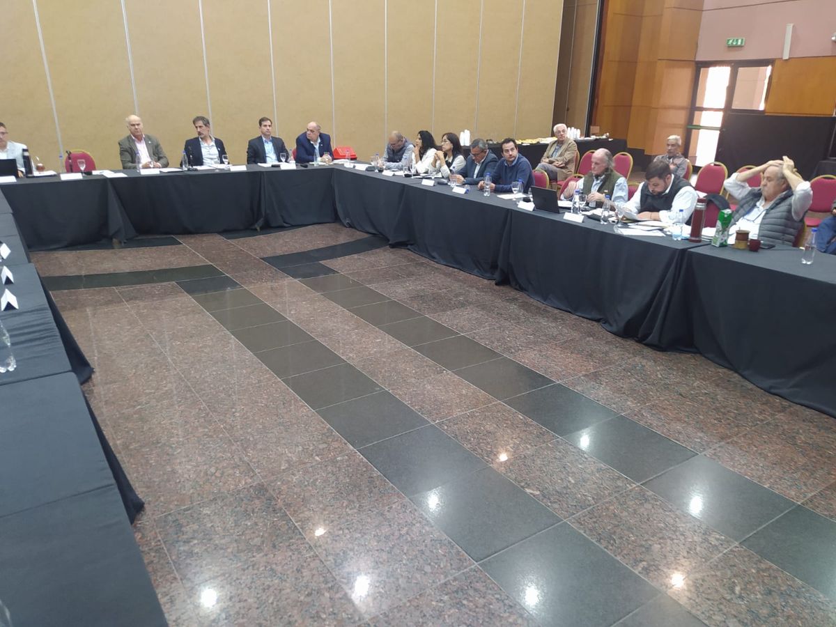 Jujuy defendió a sus productores en la 2ª reunión del Consejo Federal Agropecuario