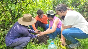 jujuy compensa la huella de carbono de la precop 29 junto a 5 provincias