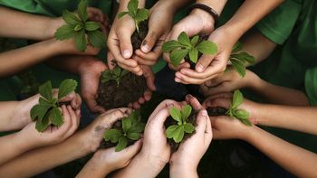 Jujuy convoca a docentes a presentar proyectos de Educación Ambiental y hacerlos visible