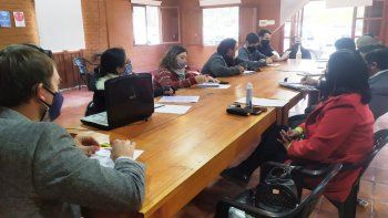 Buscan mejorar la calidad bovina