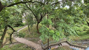 Obras próximas a finalizar en escaleras urbanas de San Salvador