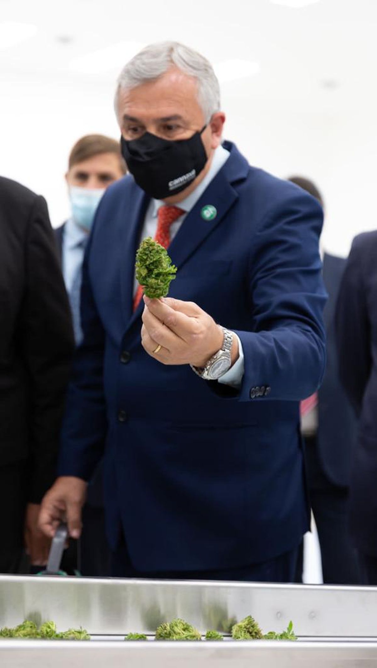 Se inauguró el Complejo de Biotecnología para producir cannabis medicinal a escala industrial en Jujuy