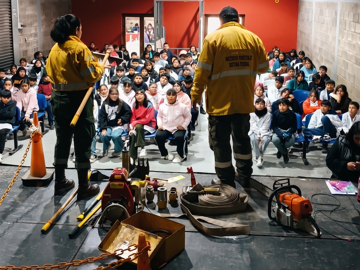 Dirección de Incendios de Vegetación y Emergencias Ambientales Dirección de Incendios de Vegetación y Emergencias Ambientales