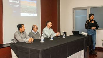 Programa federal de formación 