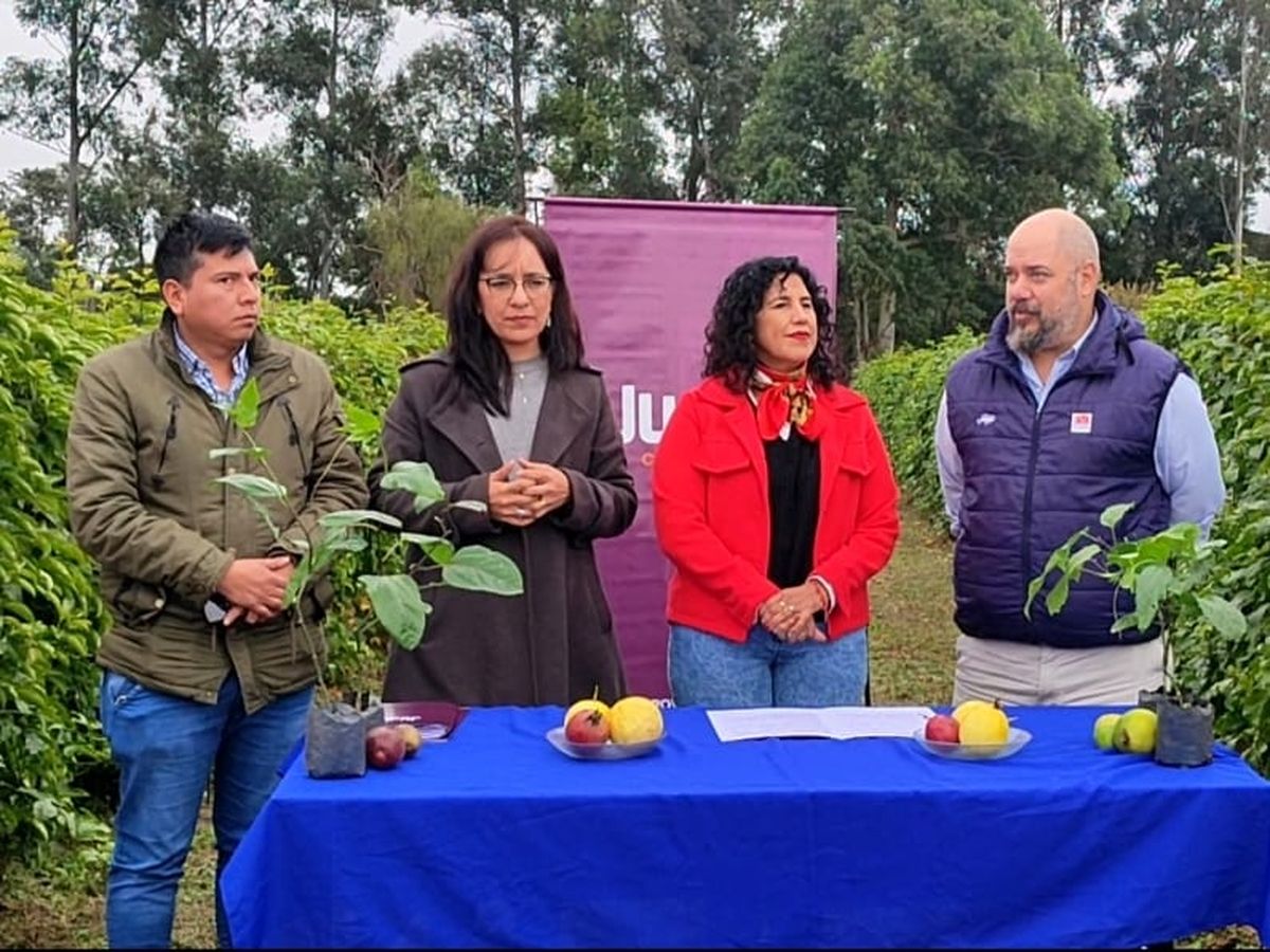 Jujuy impulsa el desarrollo de cuencas de frutas tropicales con foco en el maracuyá