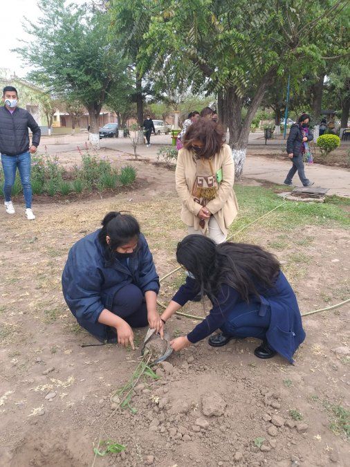 Escuelas de Pampa Blanca, Puesto Viejo y Aguas Calientes inician proceso de forestación