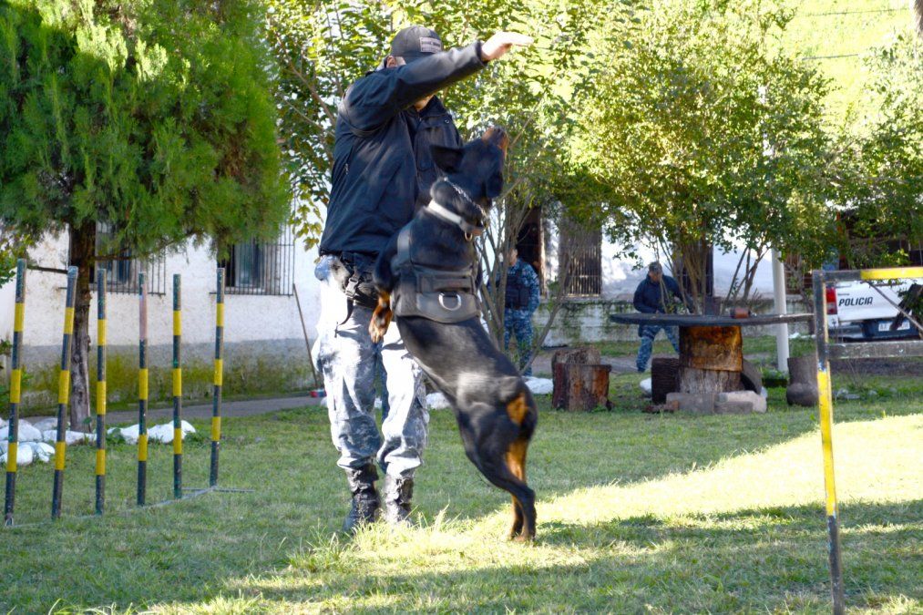 La Unidad Especial K9 de la Polica de Jujuy fomenta la tenencia responsable de mascotas