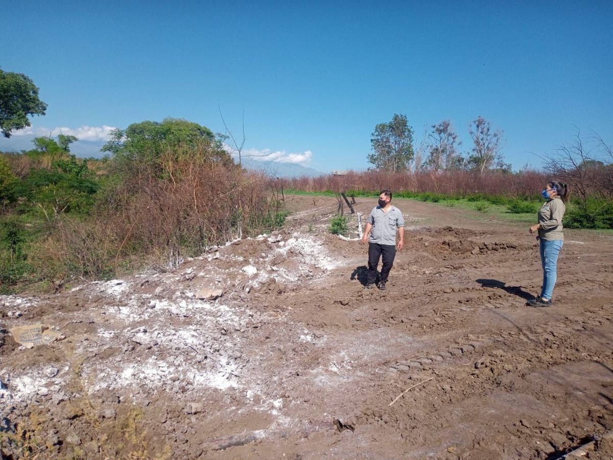 Máxima sanción pecuniaria a avícola que arrojó pollos en Alto Comedero