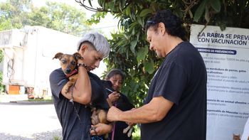 Jujuy permanece libre de rabia humana desde 2008