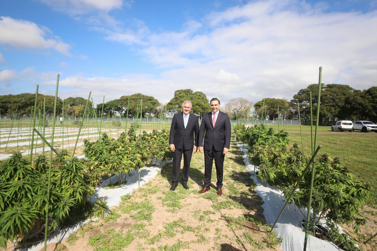 Morales visitó el Centro Tecnológico de Producción de Cannabis en Corrientes