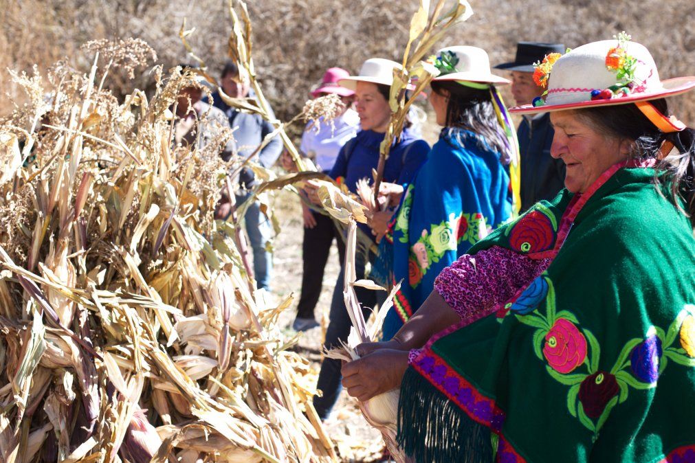 Toda la cultura y saberes ancestrales - Foto de Walter Reinaga en Valle Colorado