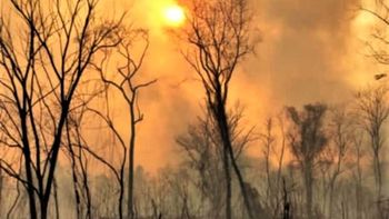 COEI: incendios forestales en Yuto y Caimancito