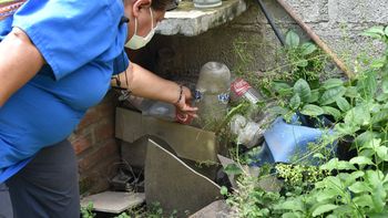 dengue: los cuidados en verano son claves para evitar la infeccion