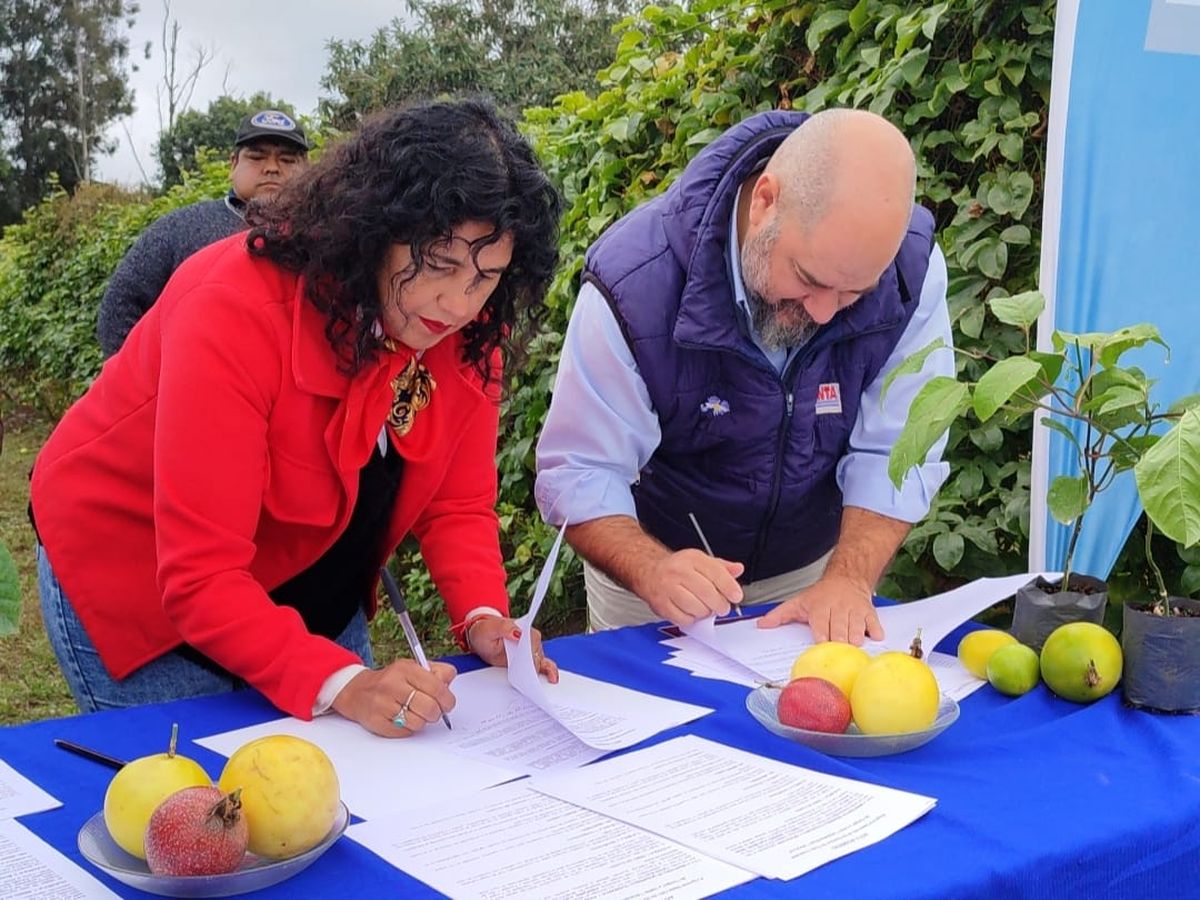 Jujuy impulsa el desarrollo de cuencas de frutas tropicales con foco en el maracuyá