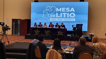 Mesa de Litio: fomento a inversiones y al desarrollo sostenible del sector.