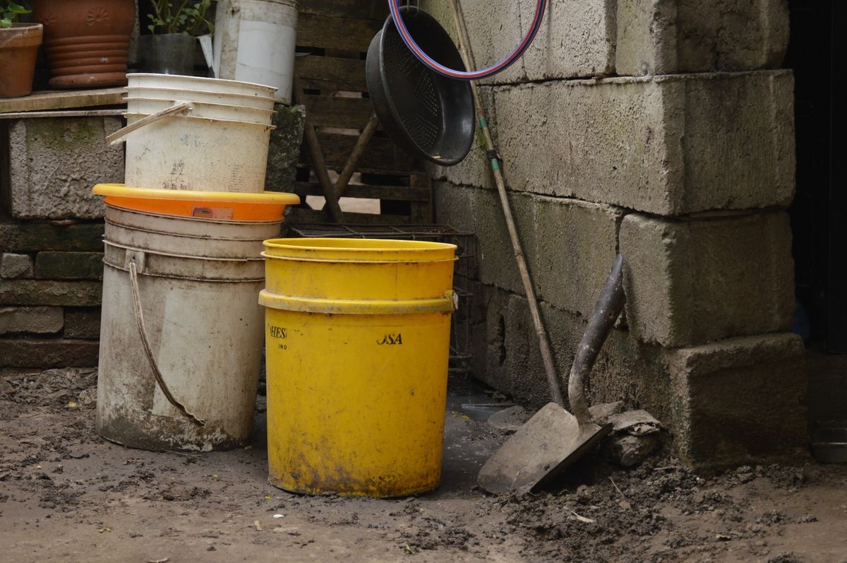 En La última Semana, Se Confirmó 1 Caso De Dengue En Jujuy