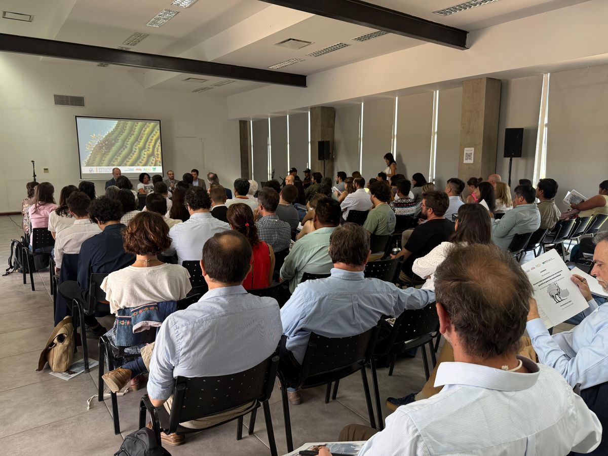Jujuy realizó un taller de Desarrollo Económico positivo para la Naturaleza Jujuy realizó un taller de Desarrollo Económico positivo para la Naturaleza