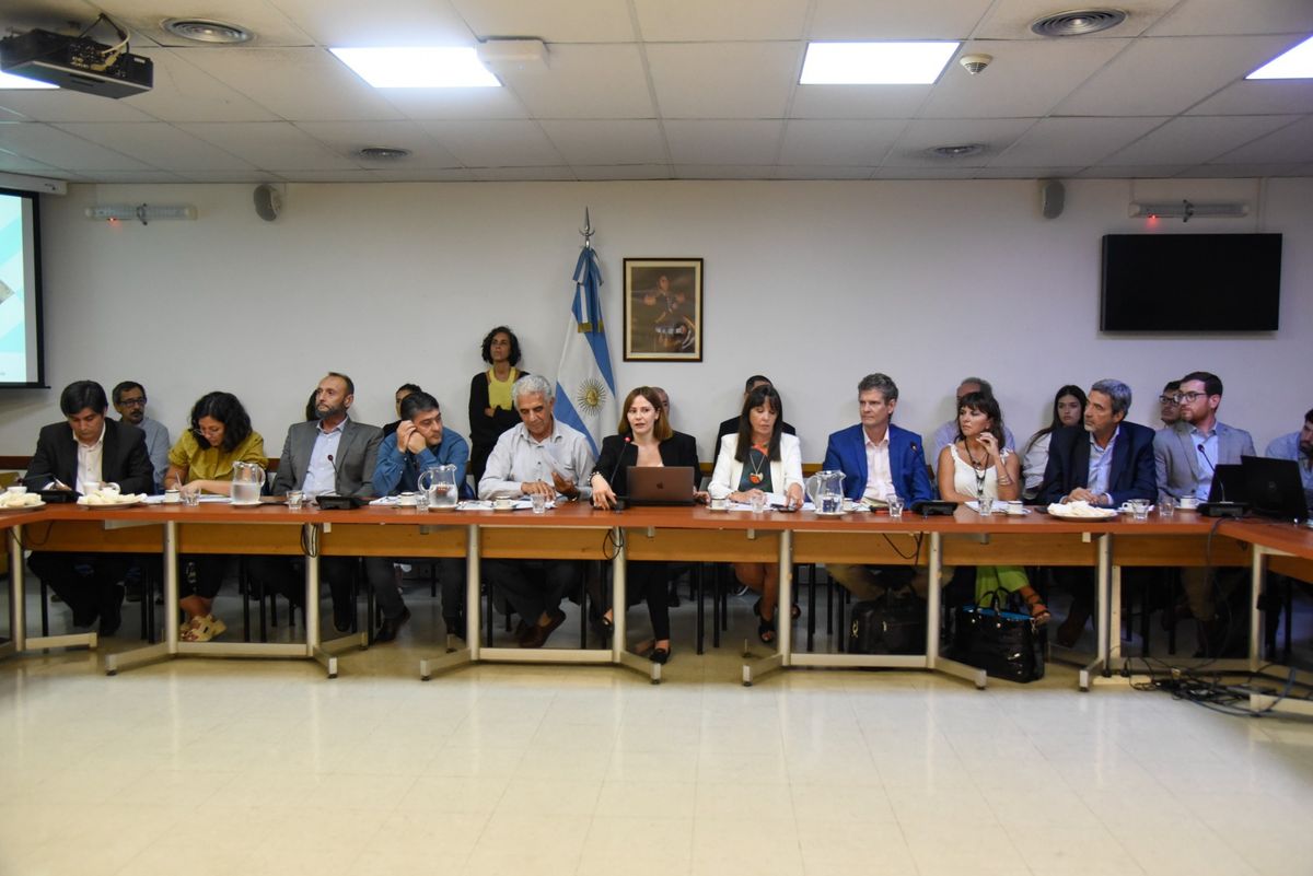 Consejo Federal de Minería : Jujuy estuvo presente en la reunión realizada  en la Cámara de Diputados de la Nación