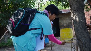 mantener la vivienda sin mosquitos es fundamental para evitar el dengue