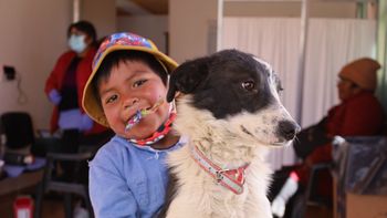 vacunacion gratuita de perros y gatos en la semana de prevencion y control de la rabia