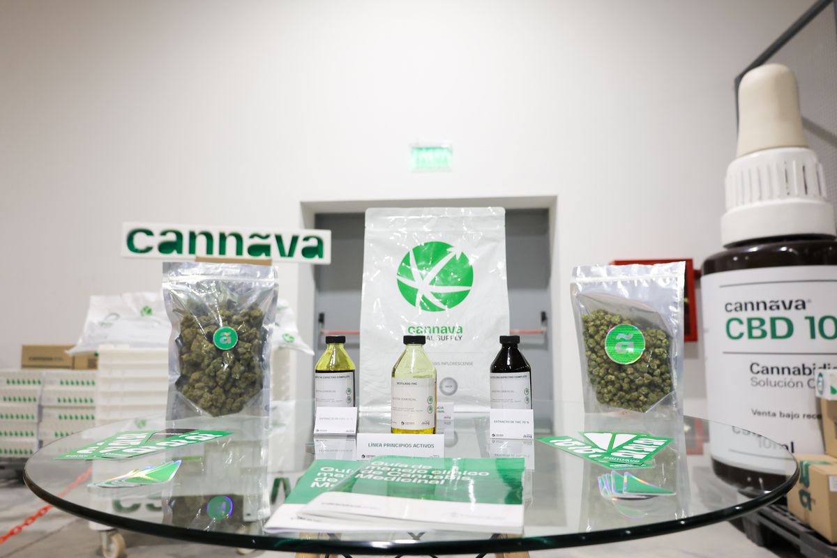 CANNAVA: Jujuy ya exporta flor de cannabis de grado farmacutico a Portugal, Alemania y Australia