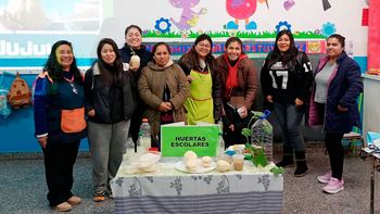 promueven la alimentacion saludable y la educacion ambiental en escuelas de la capital