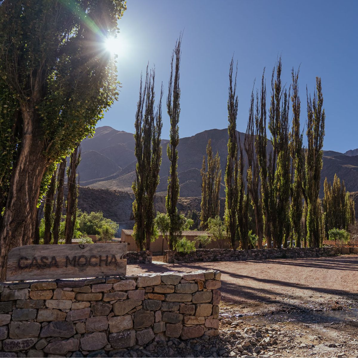 Un encuentro de culturas en Huacalera: almuerzo libanés y ceremonia de cacao