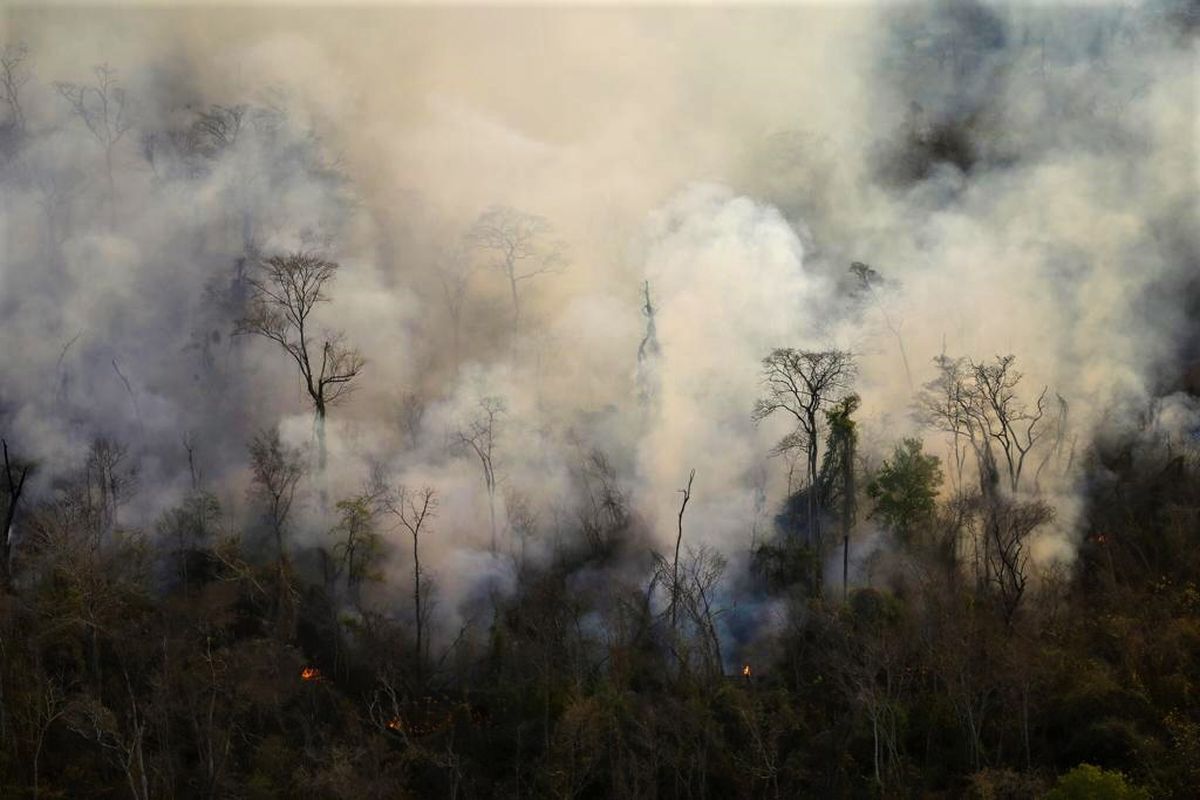 El Gobierno multó a personas que causaron incendios forestales