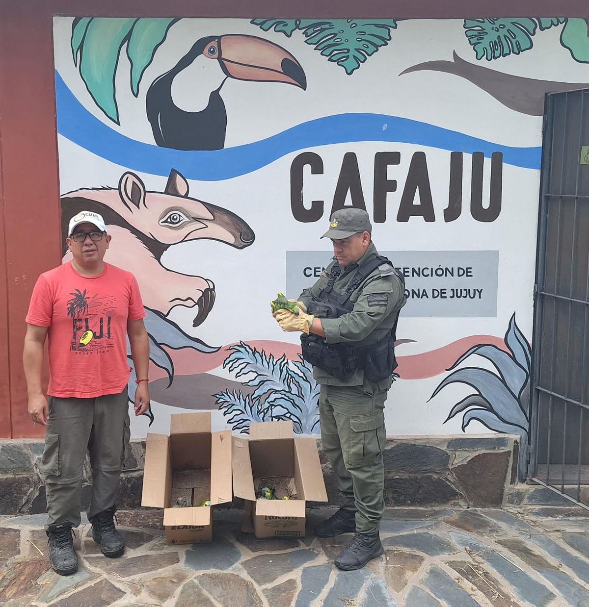 Personal del CAFAJu recibió los loros habladores recuperados por Gendarmería Nacional en la Ruta Nacional Nº 34