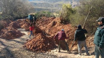 inician obras de bioingenieria con vetiver en valle, quebrada y ramal