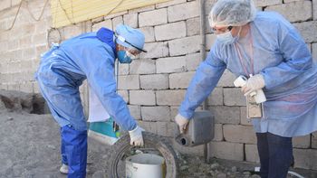 se confirmaron 3 nuevos casos de dengue