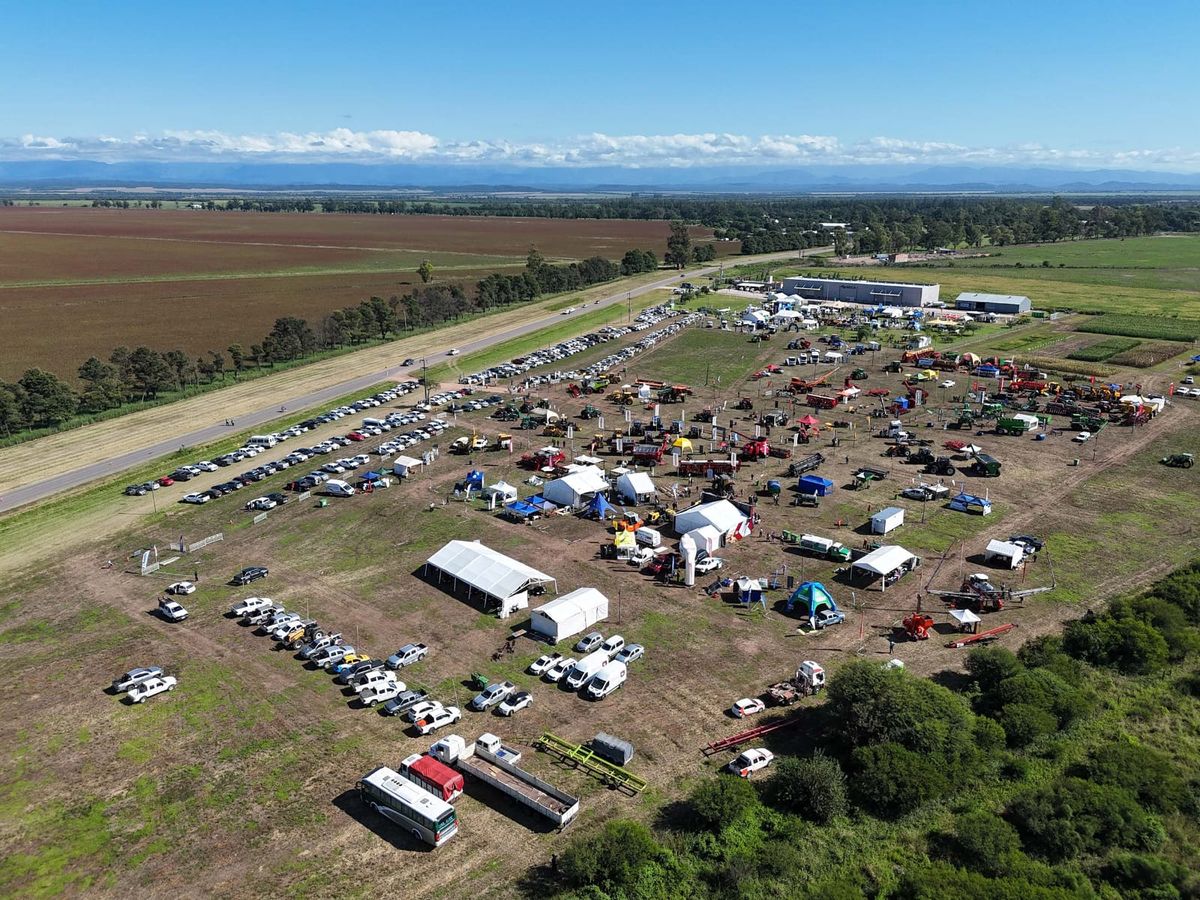 Expo Prograno: Sadir participó de la inauguración de la muestra agrícola líder en la región Expo Prograno: Sadir participó de la inauguración de la muestra agrícola líder en la región