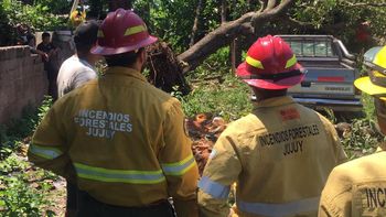 despliegue de la brigada de incendios forestales para asistir a la poblacion