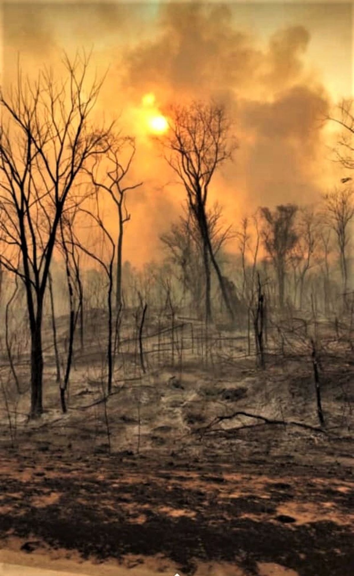 Gobierno multó a personas que causaron incendios forestales